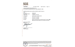 sgs檢測(cè)報(bào)告1